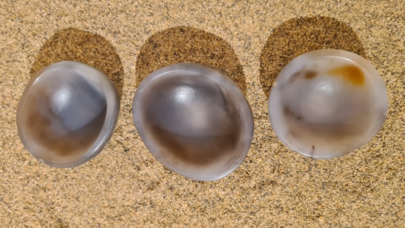 8054eb330dcb471a3c0469fef34ae5b21b3a100e