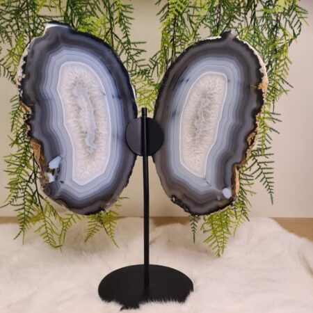 Agaat vlinder vleugels op standaard No.4