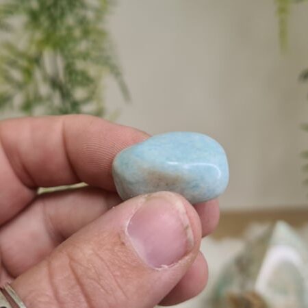 Amazoniet trommelsteen XS