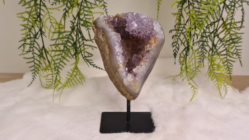 09febfbd0b50020147cfecfe55b79c71e1824a6f