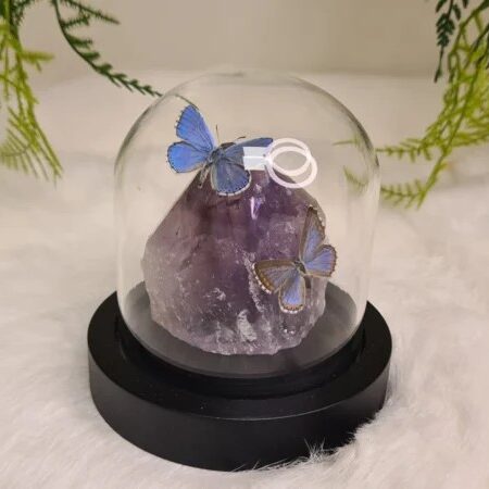 Fantasy special "Amethist & Adonis Duo"