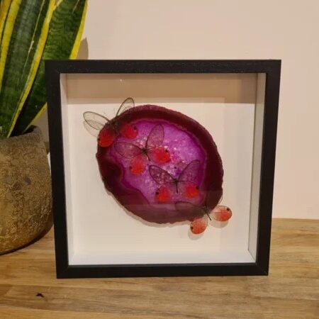 Fantasy special  "Agate Slice & Glasswings"