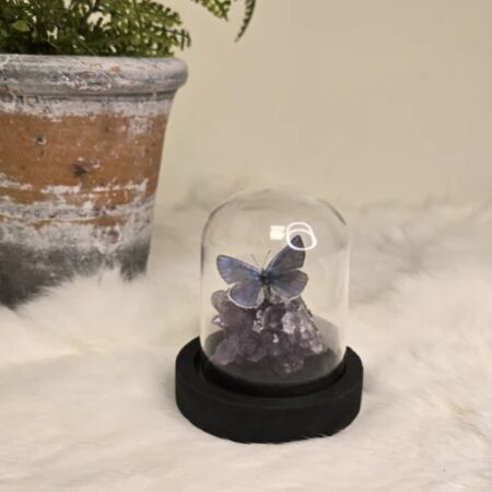 Fantasy special "Amethist & Amandus"