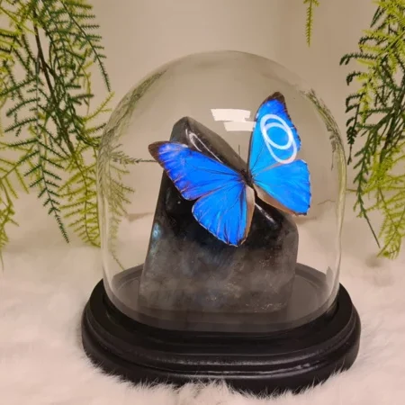 Fantasy special "Labradoriet & Aurora"