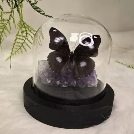 Fantasy special "Amethist & Bolina"