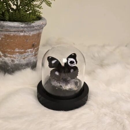 Fantasy special "Amethist & Bolina"