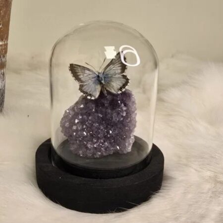 Fantasy special "Amethist & Coridon"