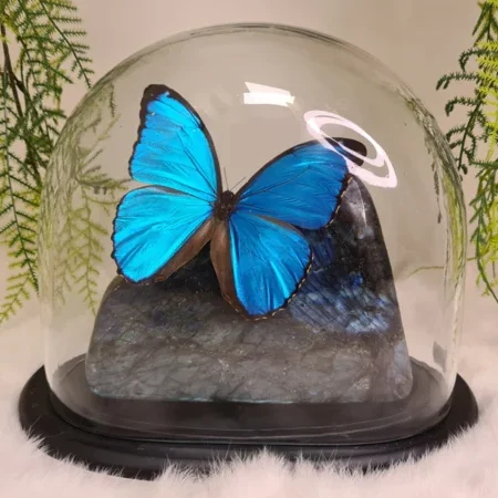 Fantasy special "Labradoriet & Menelaus"