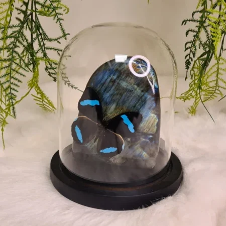 Fantasy special "Labradoriet & Nessea"