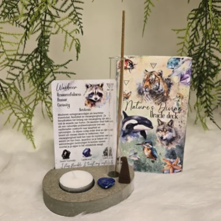 Kaartenhouder - Ovaal - groen