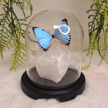 Fantasty Special "Bergkristal & Portis"