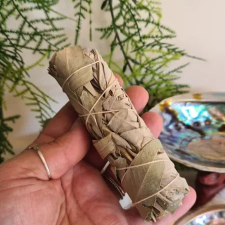 Smudge stick Witte Salie met Eucalyptus