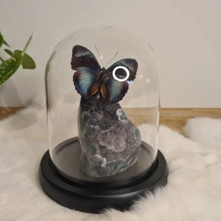 Fantasy special "Amethist & Sarita"