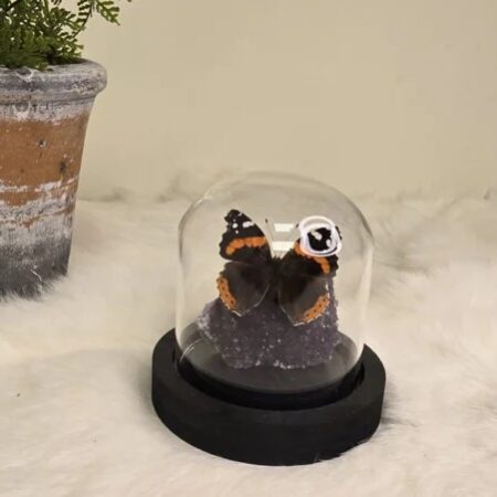 Fantasy special "Amethist & Atalanta"