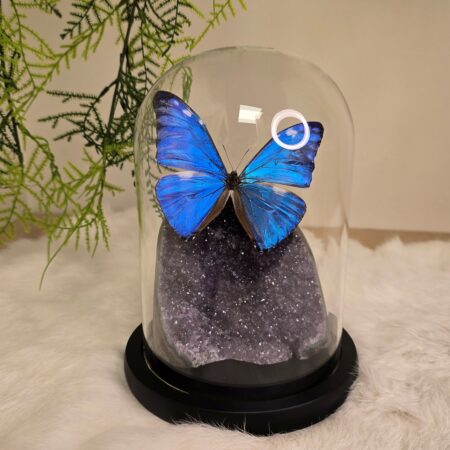 Fantasy special "Amethist & Adonis"