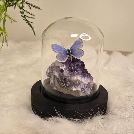 Fantasy special "Amethist & Damon"