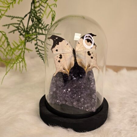 Fantasy special "Amethist & Duprei"