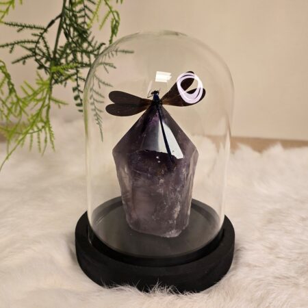 Fantasy special "Amethist & Luctuosa"