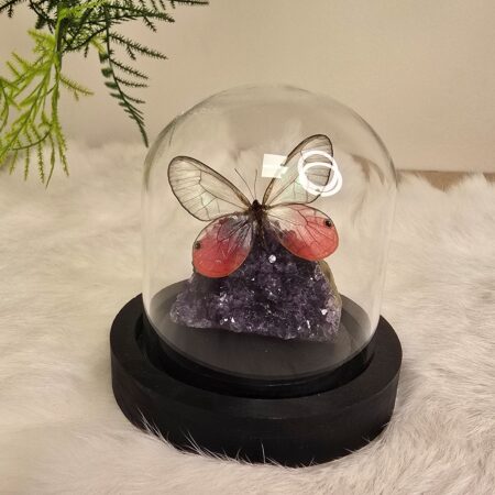 Fantasy special "Amethist & Merolina"