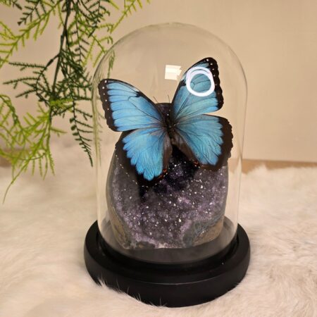 Fantasy special "Amethist & Peleides"