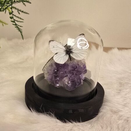 Fantasy special "Amethist & Witje"