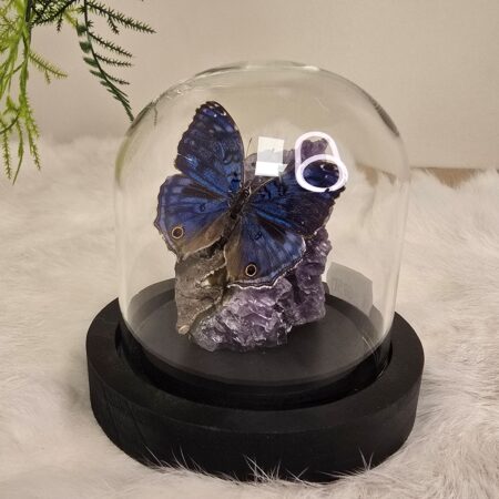 Fantasy special "Amethist & Rhadama"