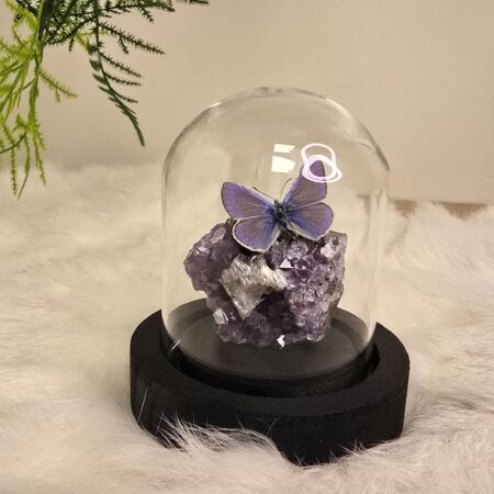 Fantasy special "Amethist & Thersites"