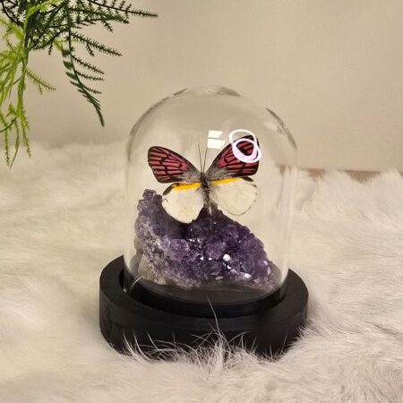 Fantasy special "Amethist & Zoe"