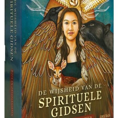 De Wijsheid Van De Spirituele Gidsen