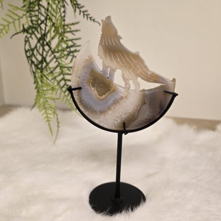 Agaat Wolf op Maan 2