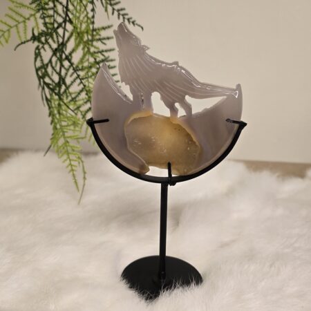 Agaat Wolf op Maan 4