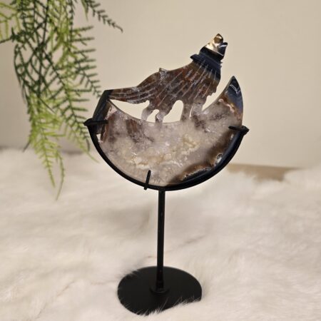 Agaat Wolf op Maan 5