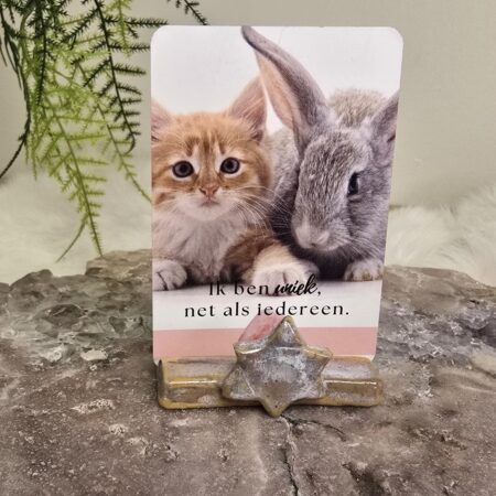 Keramiek Kaartenhouder Schelp Ster