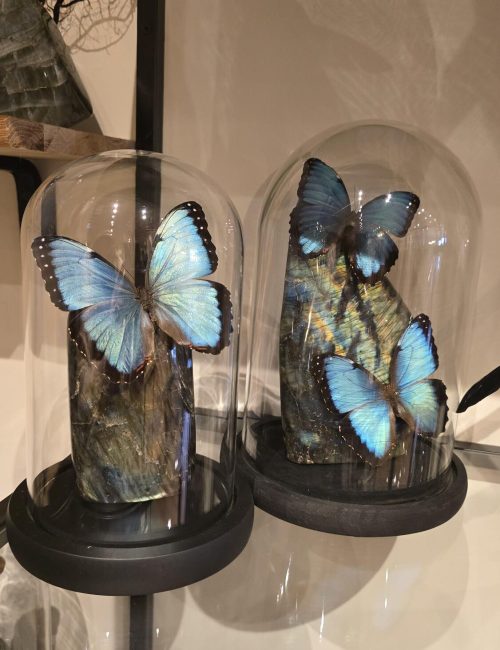 vlinders op edelstenen fantasy specials edelstenenwinkel beautiful gifts